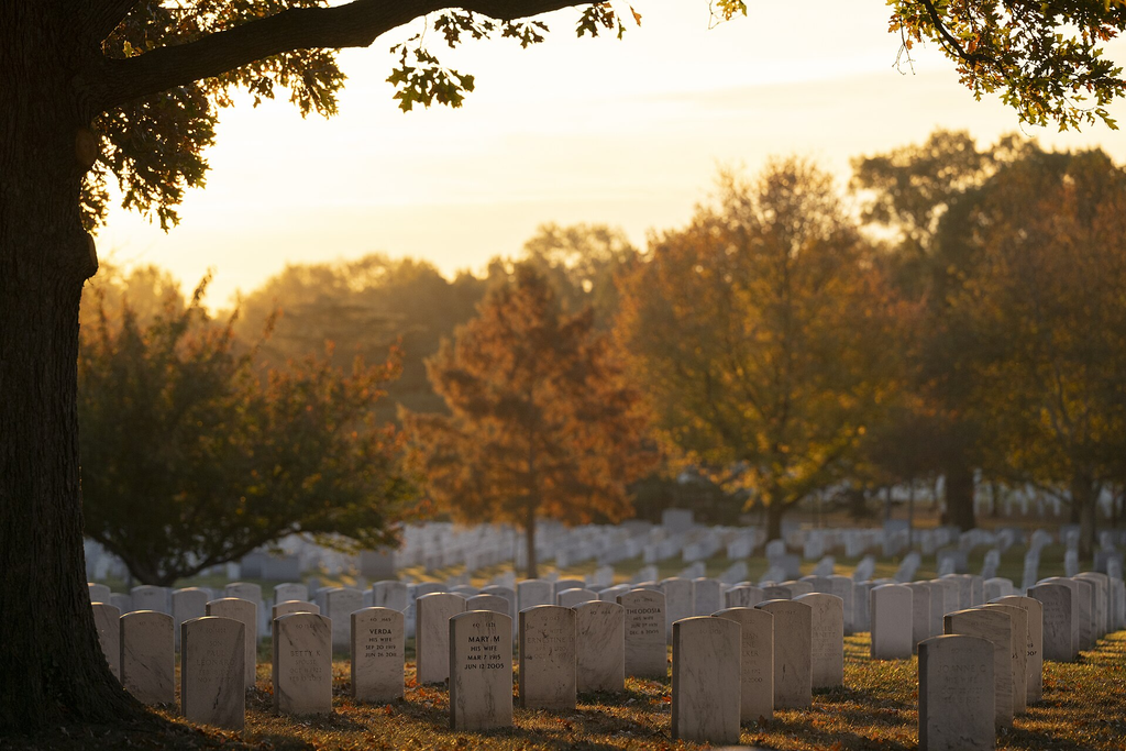 Arlington, Virginia: The Quiet Side of Washington DC