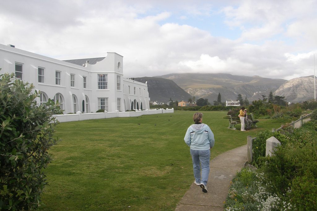 Whale Watching in Hermanus: Best Time, Spots and Tips