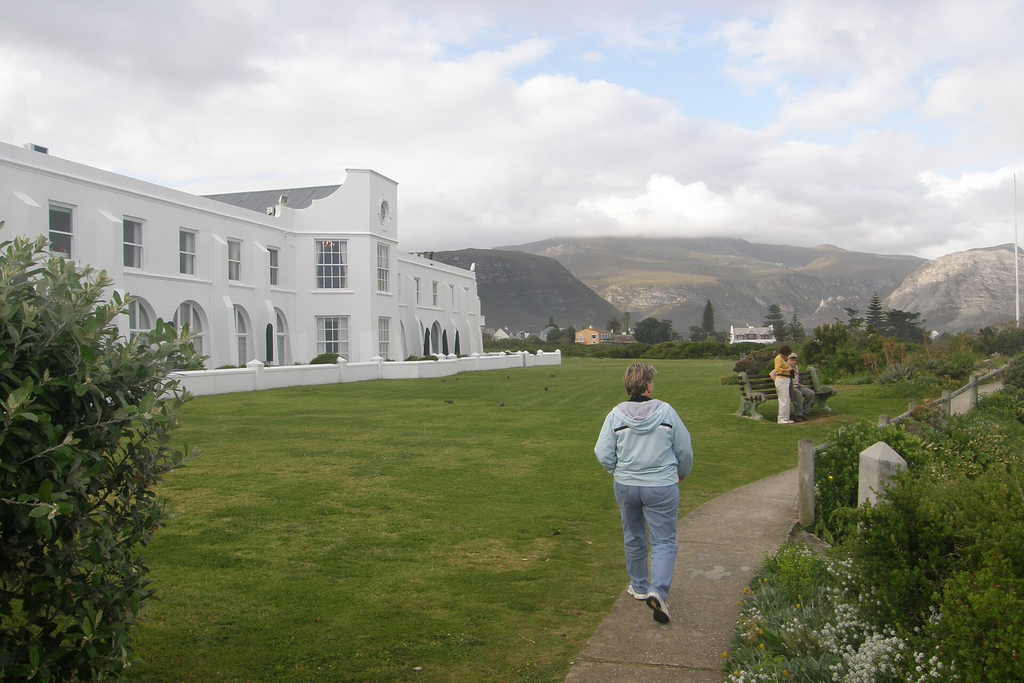 Whale Watching in Hermanus: Best Time, Spots and Tips
