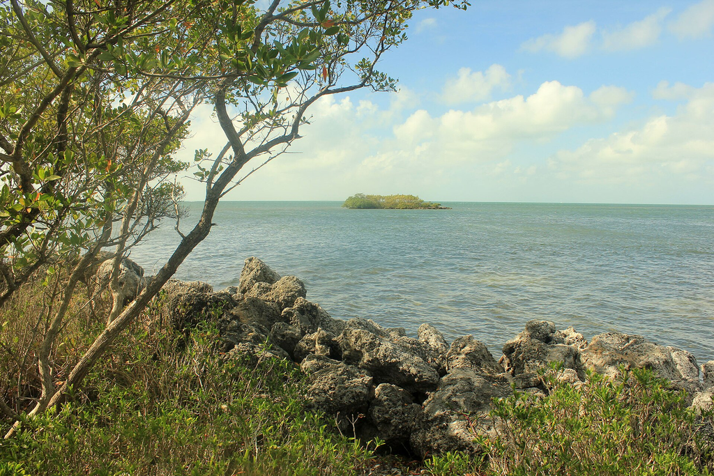 Is Key Largo Really the Diving Capital of the World?