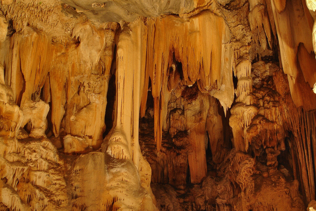 Ostriches and Caves: The Quirky Side of Oudtshoorn