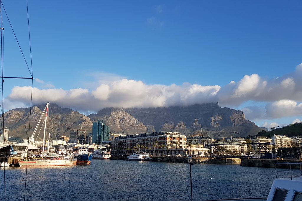 The Best Time to Visit South Africa: A Season-by-Season Guide