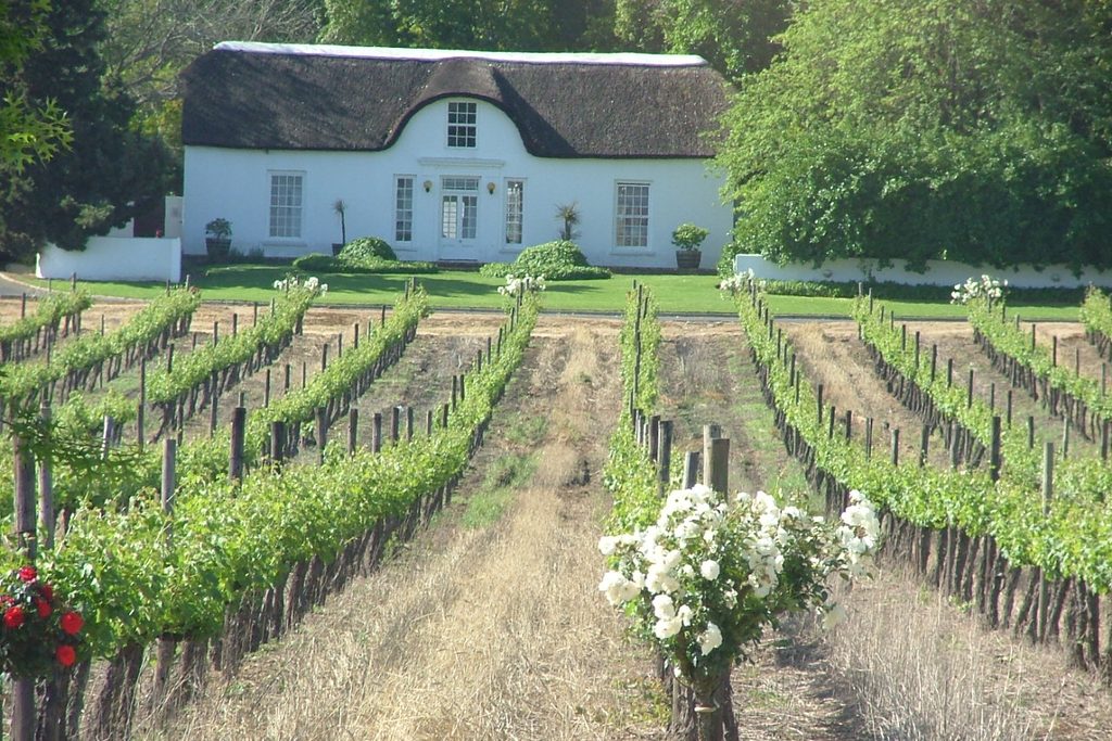 Wine Tasting in Stellenbosch: What First-Timers Should Know
